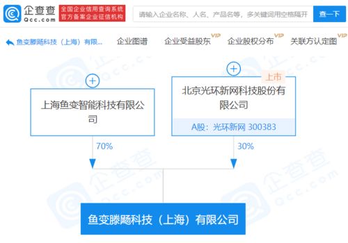 光环新网携手成立科技新公司，聚焦软件开发领域